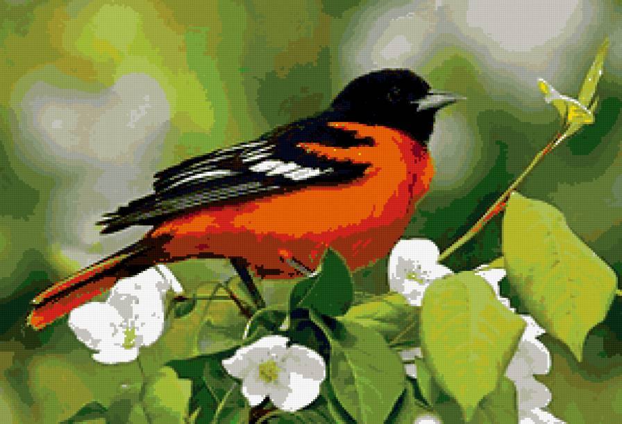 птица - предпросмотр