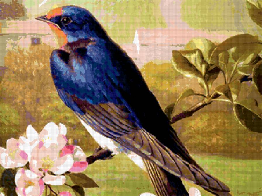 птичка - дерево, природа, птица - предпросмотр