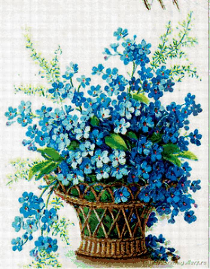 нежный букет - цветы, незабудки, корзина, букет - предпросмотр