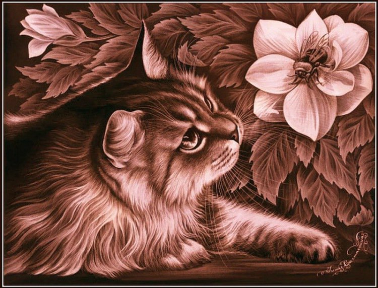 кот И. Гармашевой - кот - оригинал