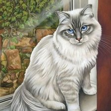 Схема вышивки «Кот И. Гармашевой»