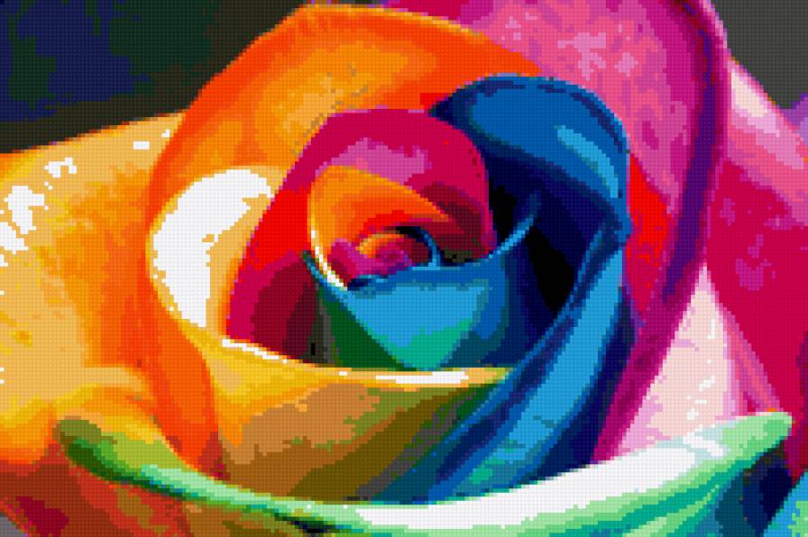 Цветы - роза, цветок - предпросмотр