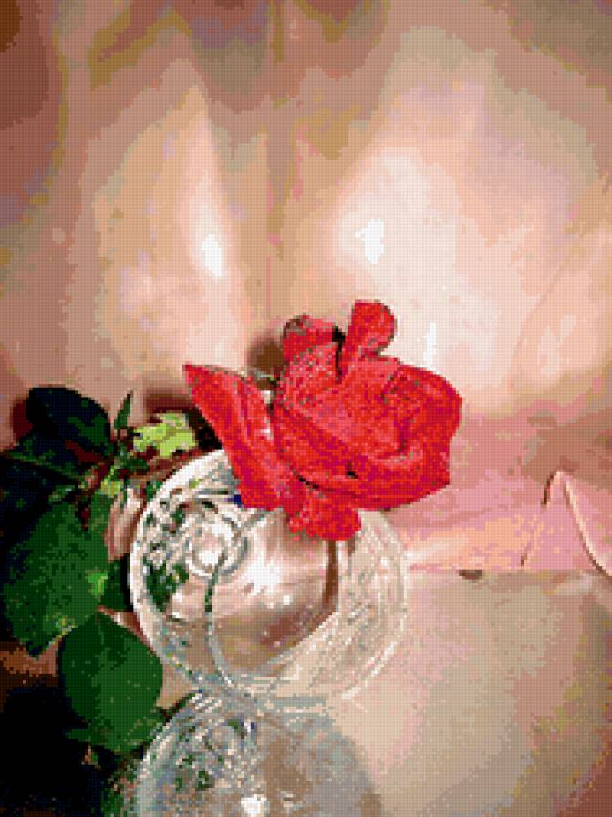 №377600 - натюрморт, роза, цветы - предпросмотр