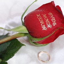 Оригинал схемы вышивки «роза и кольцо» (№377709)