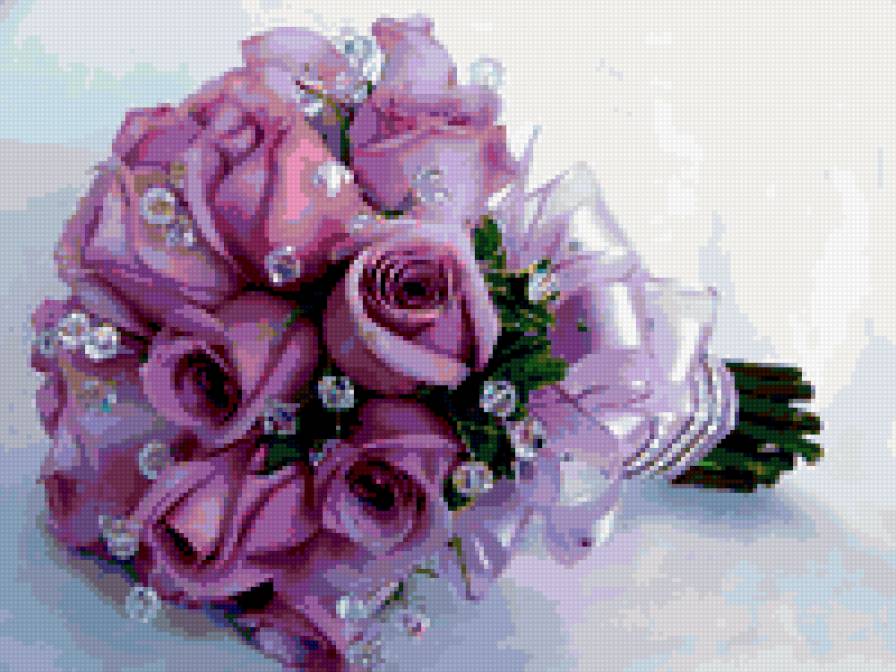 букет роз - цветы, букет, розы - предпросмотр