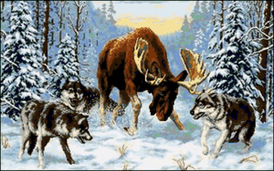 встреча в лесу - предпросмотр