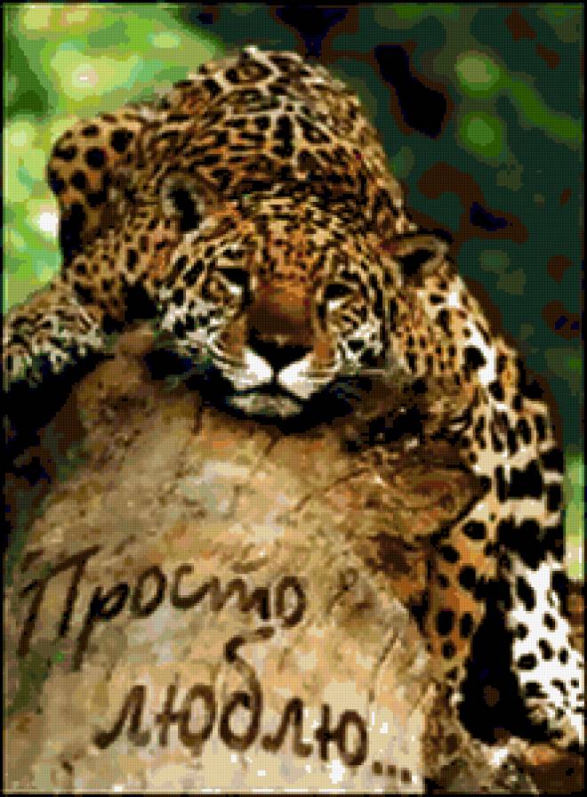 признание - гепард - предпросмотр