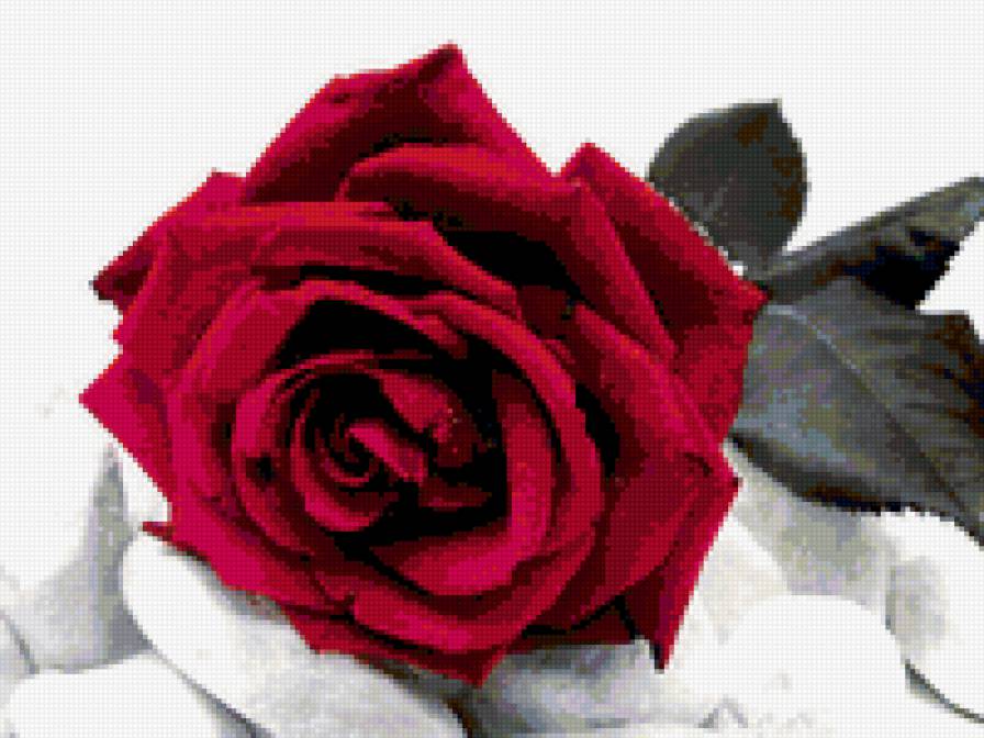 HJPF - предпросмотр