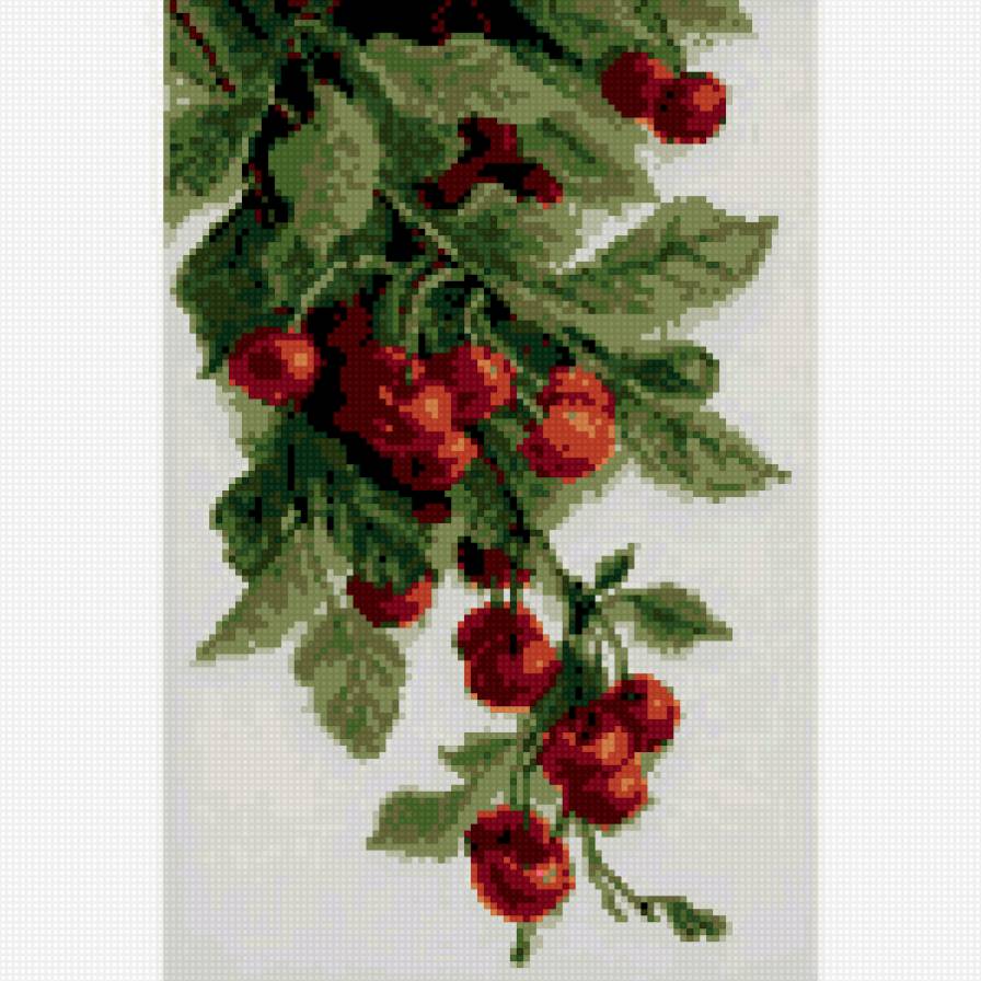 вишня - предпросмотр