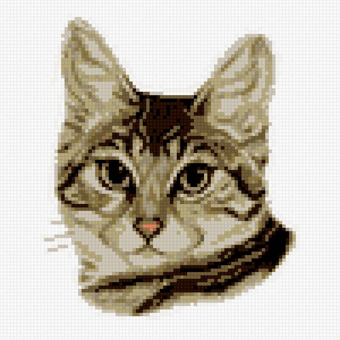 кот - предпросмотр