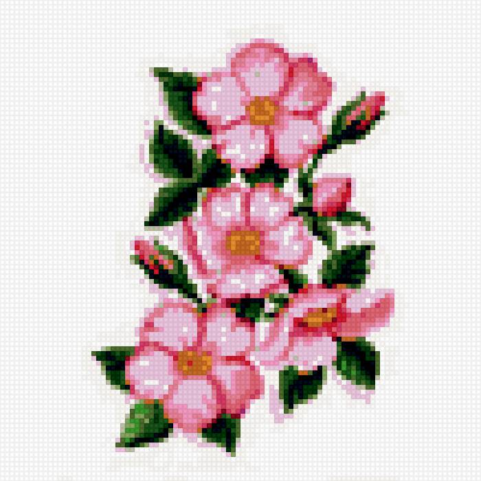 шиповник - предпросмотр