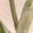 Предпросмотр схемы вышивки «махровый тюльпан» (№377976)