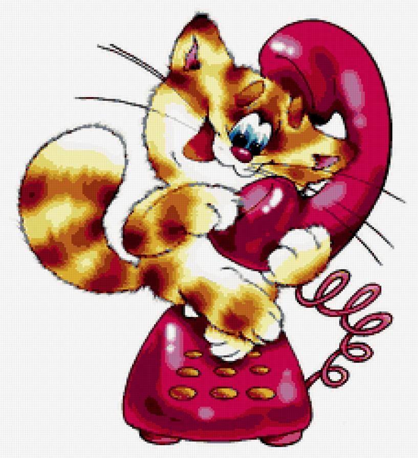 котик - животные - предпросмотр