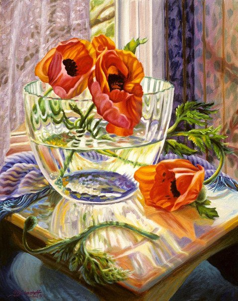 красные маки - цветы - оригинал