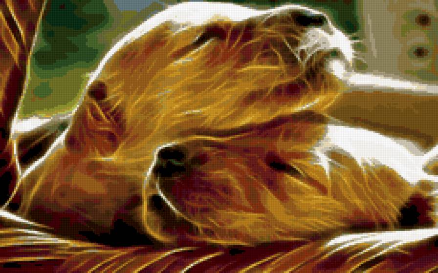 щенки - животные, пес, собаки - предпросмотр