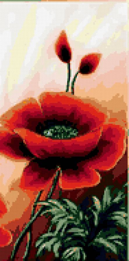 маки 3 - предпросмотр