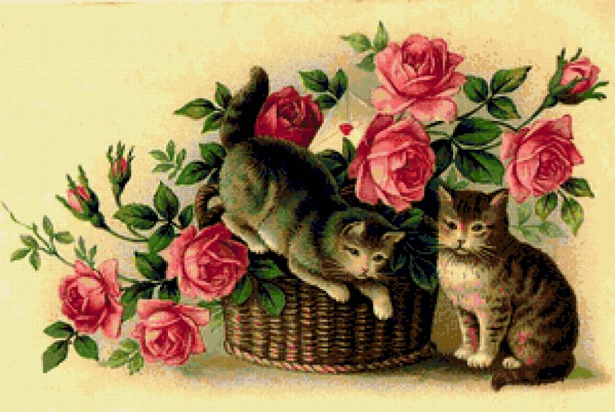 розы и котята - предпросмотр