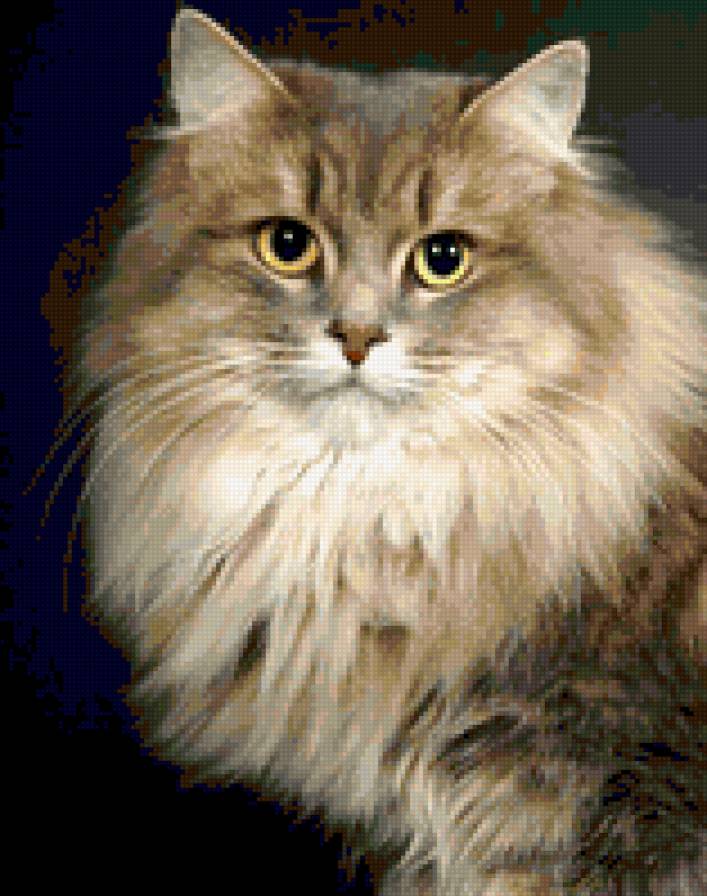 Кошка - кошка - предпросмотр