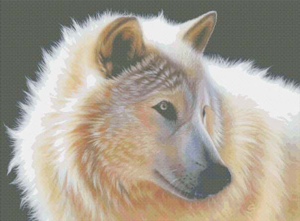 белый волк - оригинал