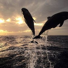 Схема вышивки «№378715»