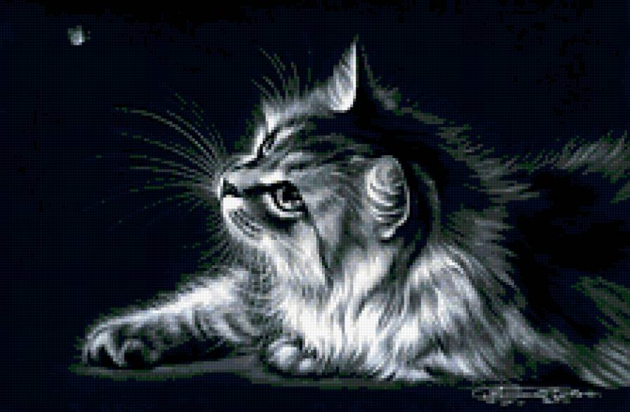 кот - черно-белый кот - предпросмотр