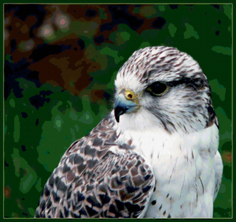 №378741 - предпросмотр