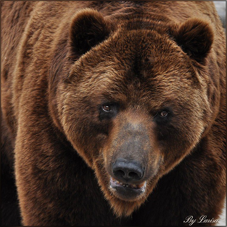 №378764 - оригинал