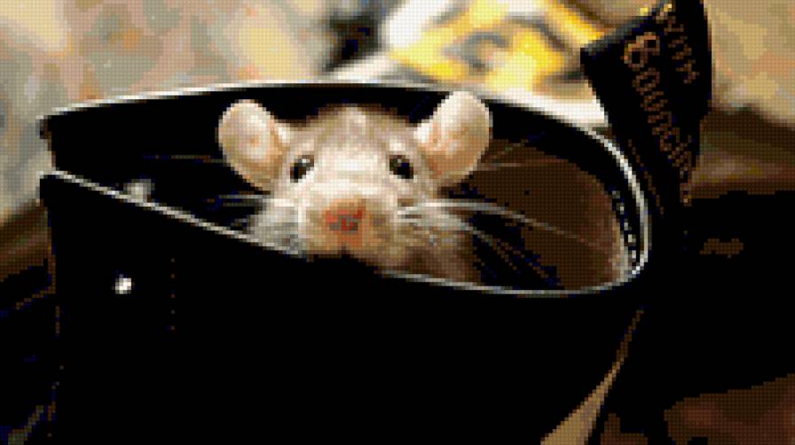 мишь - животные, мишь - предпросмотр