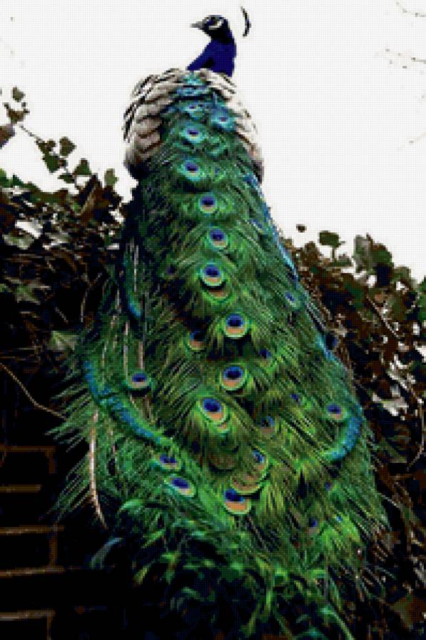 №378784 - предпросмотр