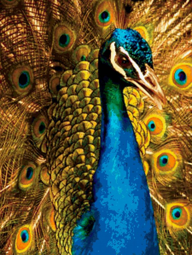 №378788 - предпросмотр