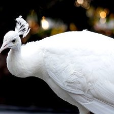 Схема вышивки «№378792»