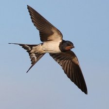 Схема вышивки «№378801»