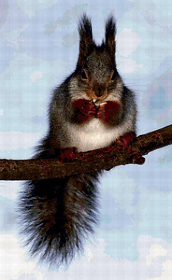 №378803 - предпросмотр