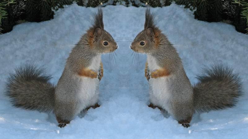 №378805 - оригинал