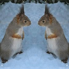 Схема вышивки «№378805»