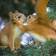 Схема вышивки «№378806»