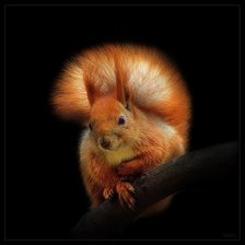 Схема вышивки «№378808»