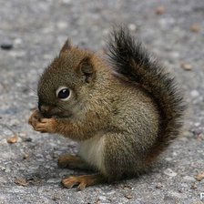 Схема вышивки «№378810»