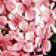 Предпросмотр схемы вышивки «Натюрморт, цветы, фрукты» (№378868)