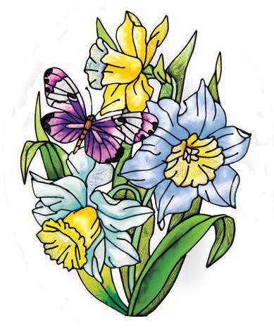 ирисы и нарцисы - бабочки, цветы, нарцисы, букет, ирисы - оригинал
