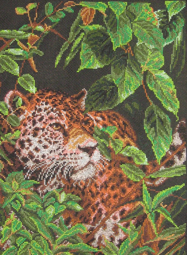 лео - леопард, хищник.кошка - оригинал