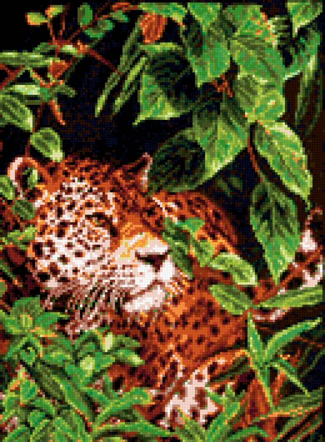 лео - хищник.кошка, леопард - предпросмотр