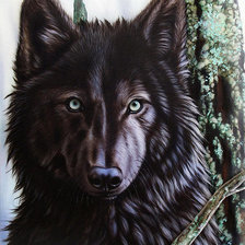 Оригинал схемы вышивки «одинокая волчица» (№379157)