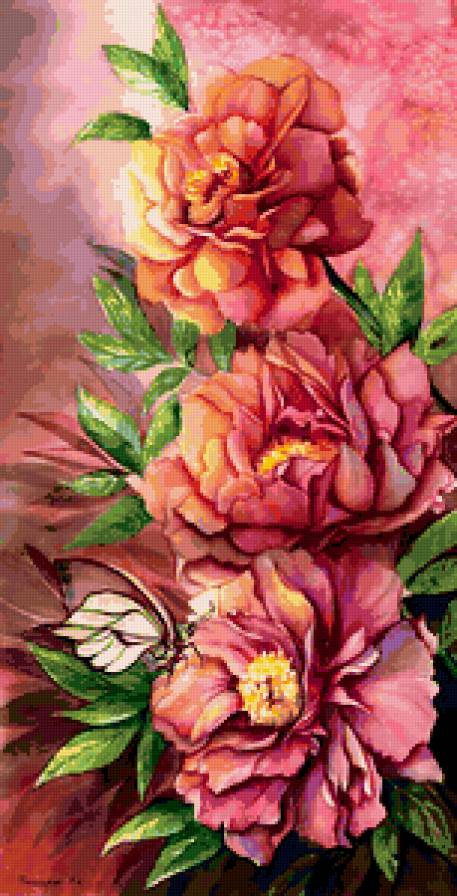 пионы - предпросмотр