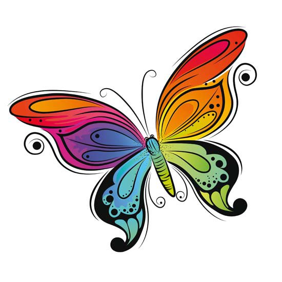 Бабочка - красота, насекомое, бабочка - оригинал
