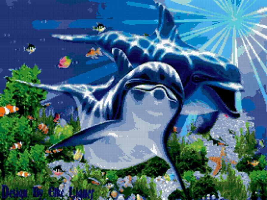 дельфины - подводное царство - предпросмотр