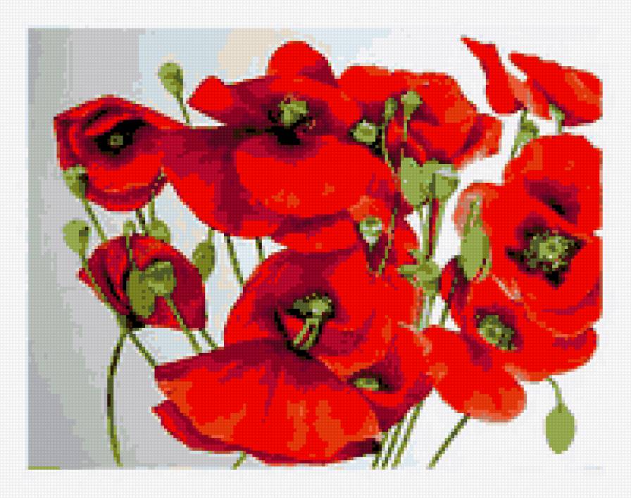 акварель - маки - предпросмотр