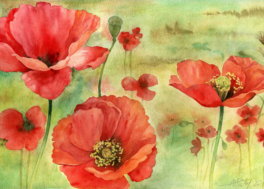 акварель - маки - оригинал
