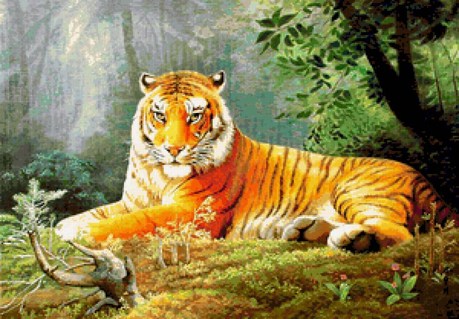 тигр - картина - предпросмотр