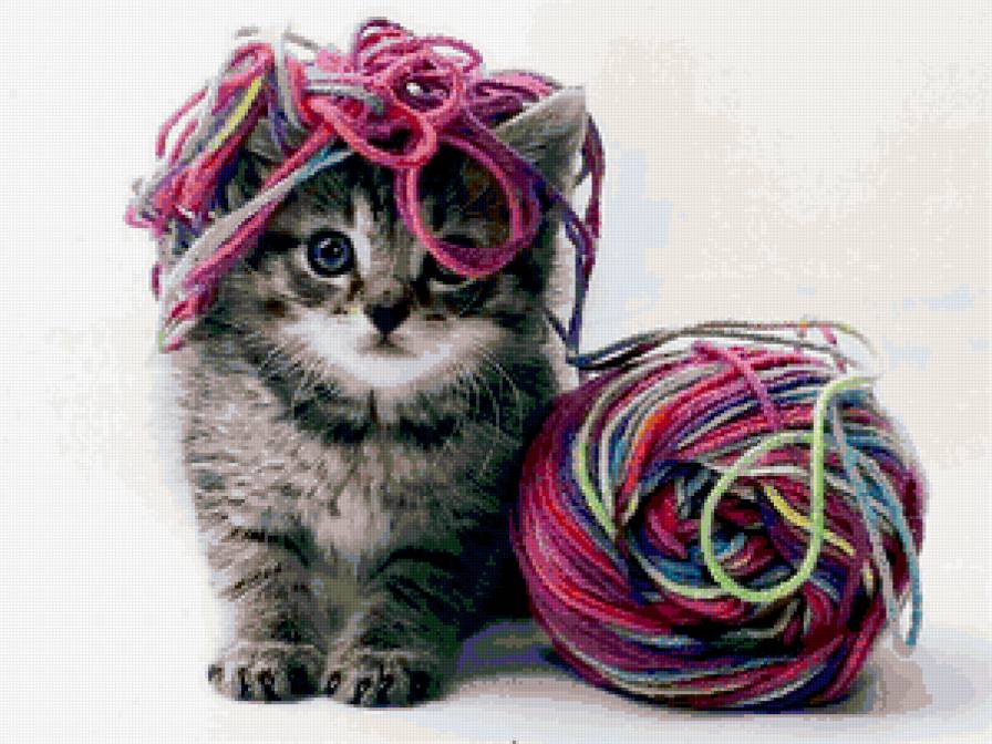 Котенок и клубок - котенок, клубок, животные - предпросмотр